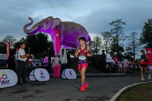 BIB: 
                            <button type="button" onclick="openModal(26529560)" class="btn btn-primary btn-sm float-right btn-popup" data-toggle="modal" data-target=".modal-high-quality">
                        <i class="fas fa-shopping-cart"></i> Add to Cart
                    </button>
                                            <button type="button" onclick="isThisMe(26529560, true)" class="btn btn-success btn-sm float-right btn-popup btn-isme hidden" data-toggle="tooltip" data-placement="bottom" title="นี่คือรูปของคุณใช่ไหม คลิกที่นี่เพื่อเอาเข้าอัลบั้ม">
                        <i class="fas fa-plus"></i> Add to album
                    </button>
                    <button type="button" onclick="isThisMe(26529560, false)" class="btn btn-warning btn-sm float-right btn-popup btn-isnotme hidden">
                        <i class="fas fa-ban"></i> Remove from album
                    </button>